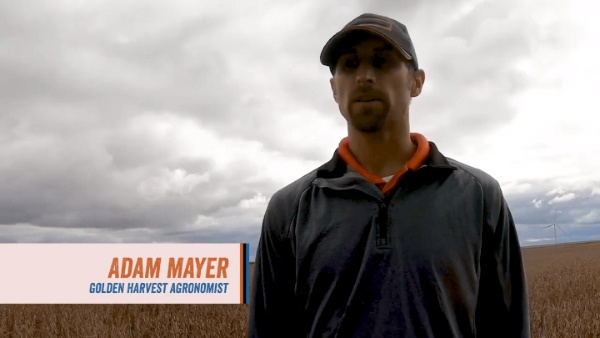 Agronomist Adam Mayer