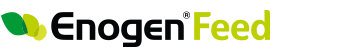 Enogen Feed Seeds Logo