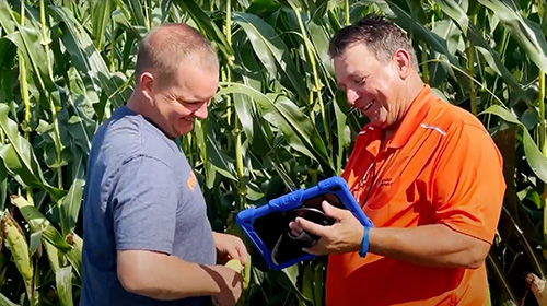 Achieve Optimal Yield Potential with Service 365