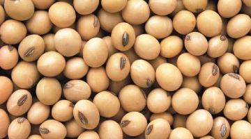 Soybean Seed Quality Management