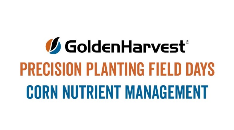 Corn Nutrient Management