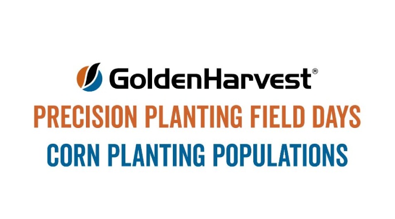 Corn Plant Population Considerations