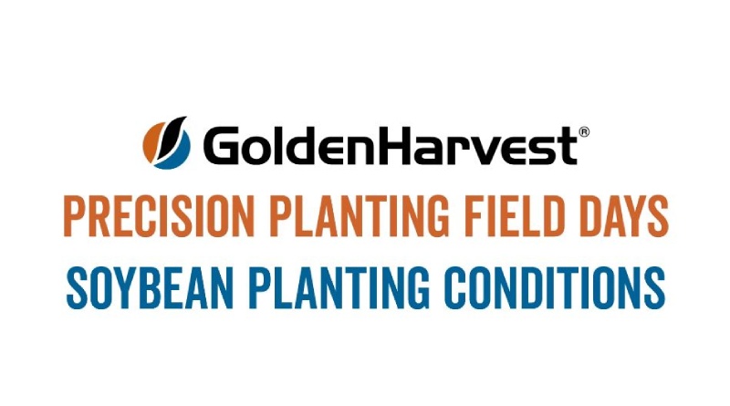 Soybean Planting Conditions